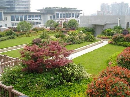 杭州市拱墅區(qū)政府大樓屋頂綠化工程 景觀與生態(tài)的和諧融合