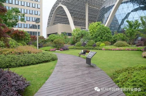 都市綠洲，云端花園——杭州國際博覽中心項(xiàng)目屋面園林綠化工程獲2016年度杭州市優(yōu)秀園林綠化工程綜合組金獎(jiǎng)紀(jì)實(shí)